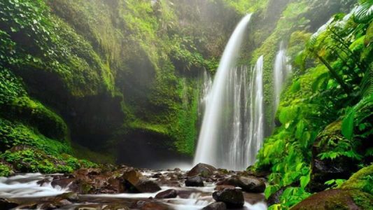 wisata di pulau bawean