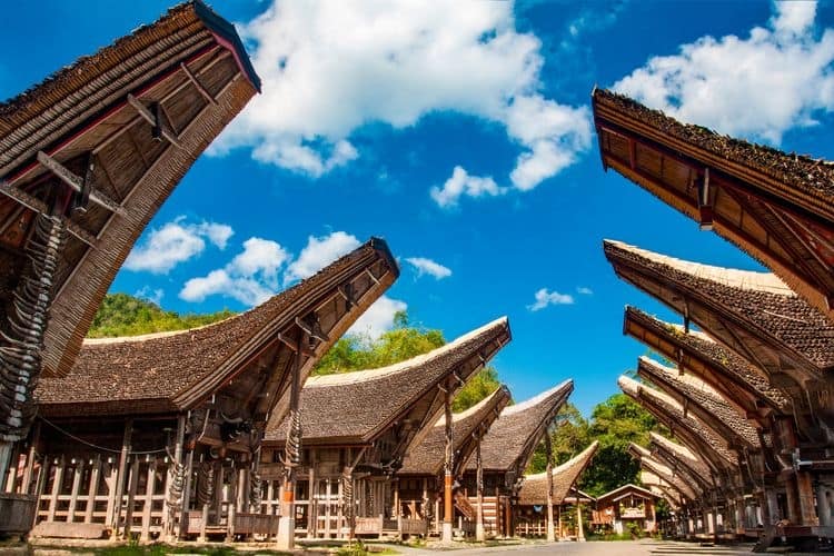 Paket Tour Wisata 4H3M Makassar - Toraja | Labiru Tour