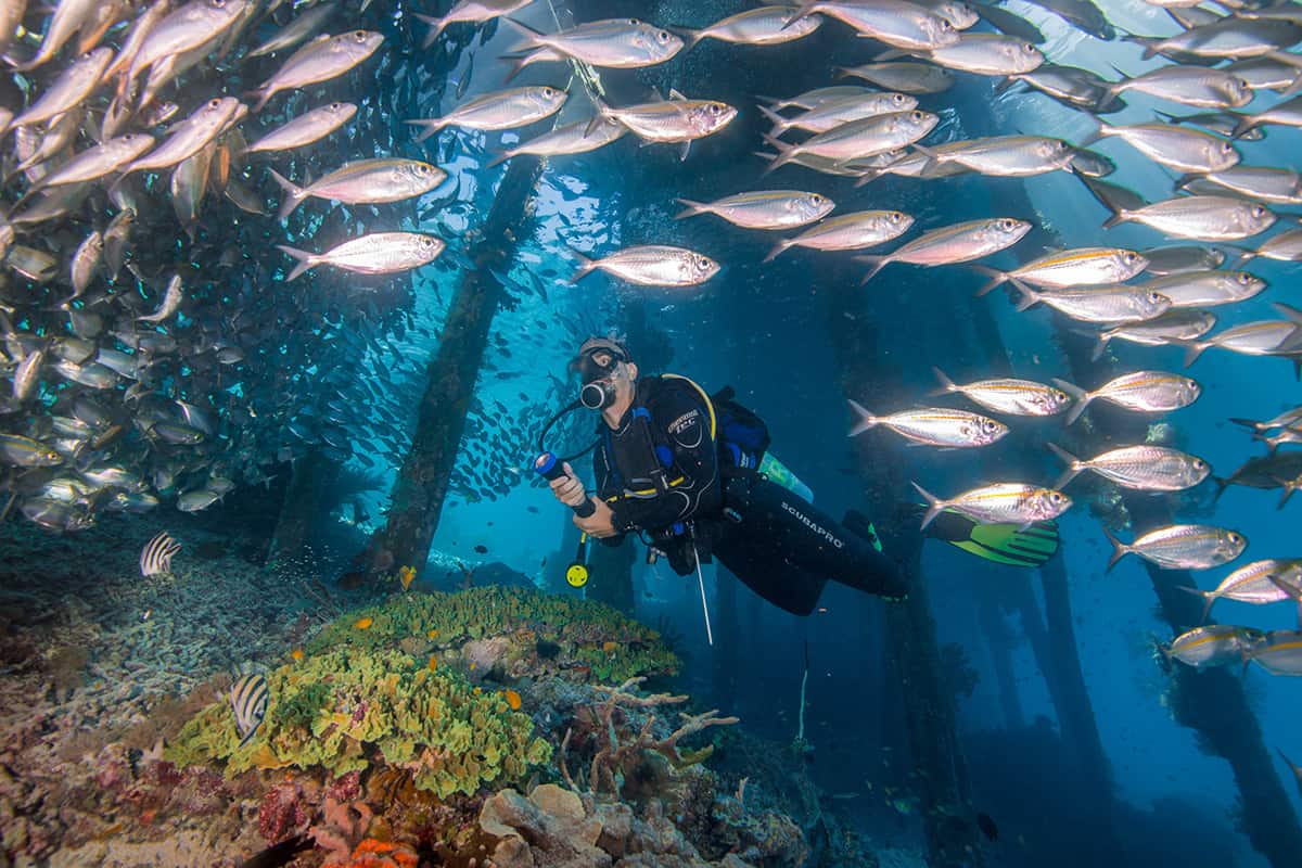 Diving Indonesia - Karimun Jawa